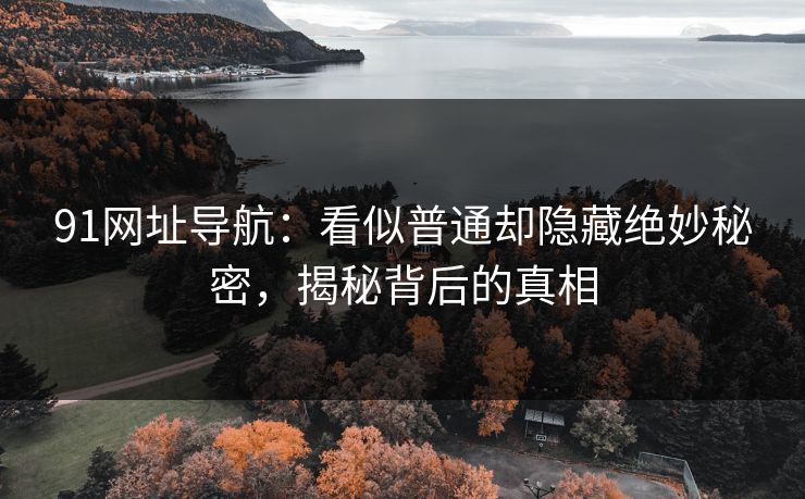 91网址导航:看似普通却隐藏绝妙秘密,揭秘背后的真相 91网址导航:看似普通却隐藏绝妙秘密,揭秘背后的真相